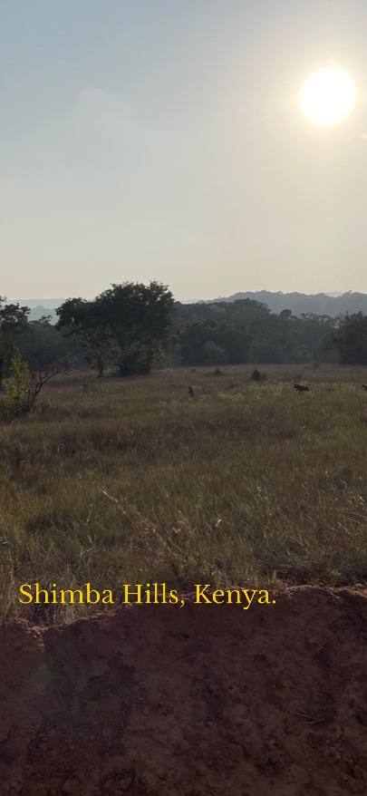 Unbenannter Beitrag 105